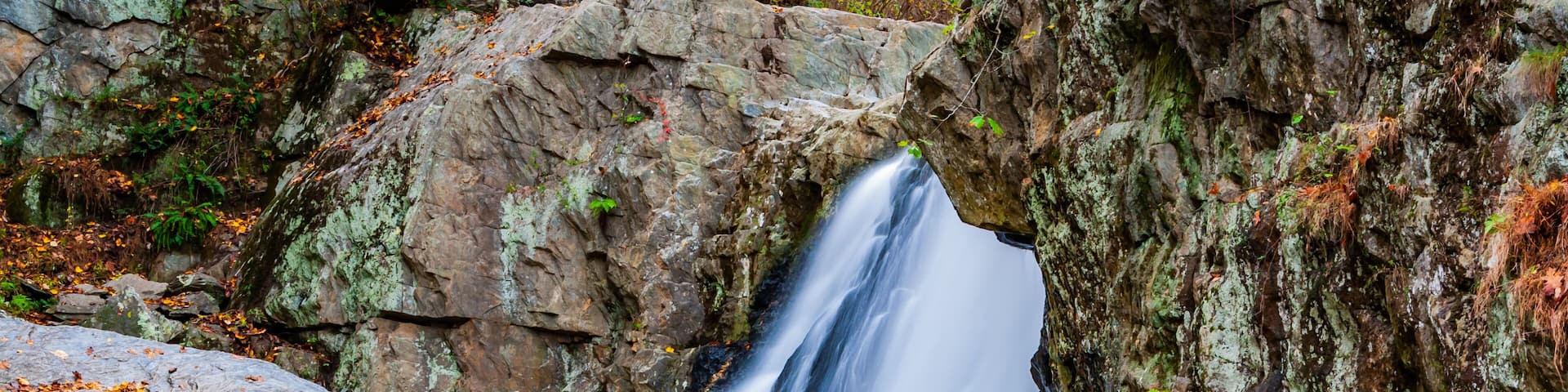 Enjoying Natures Beauty at Rocks State Park, Maryland, USA, Jarrettsville, Maryland