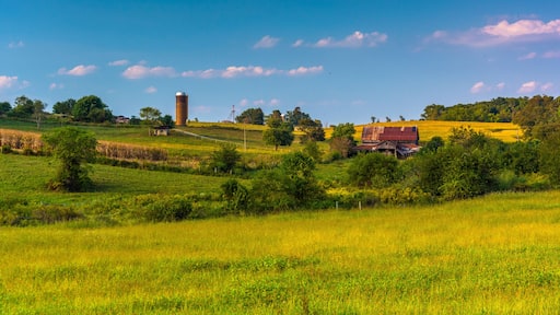 View of rolling hills and farm fields in rural Howard County, Ma