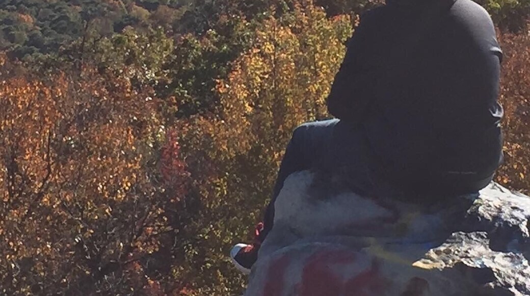 Highest Point in Allegany County