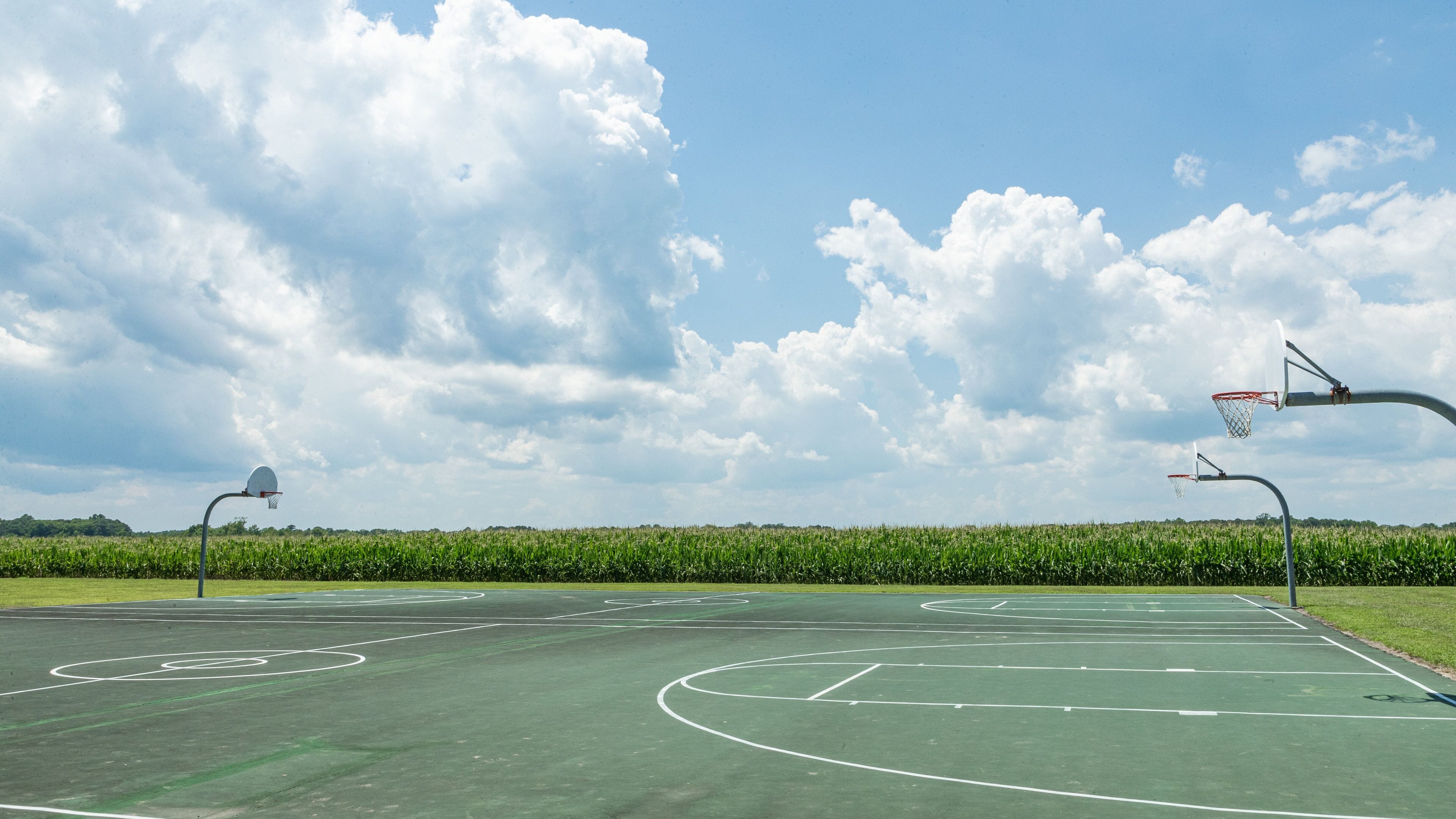 Showell featuring a garden