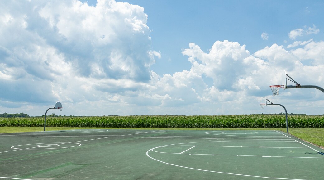 Showell featuring a garden