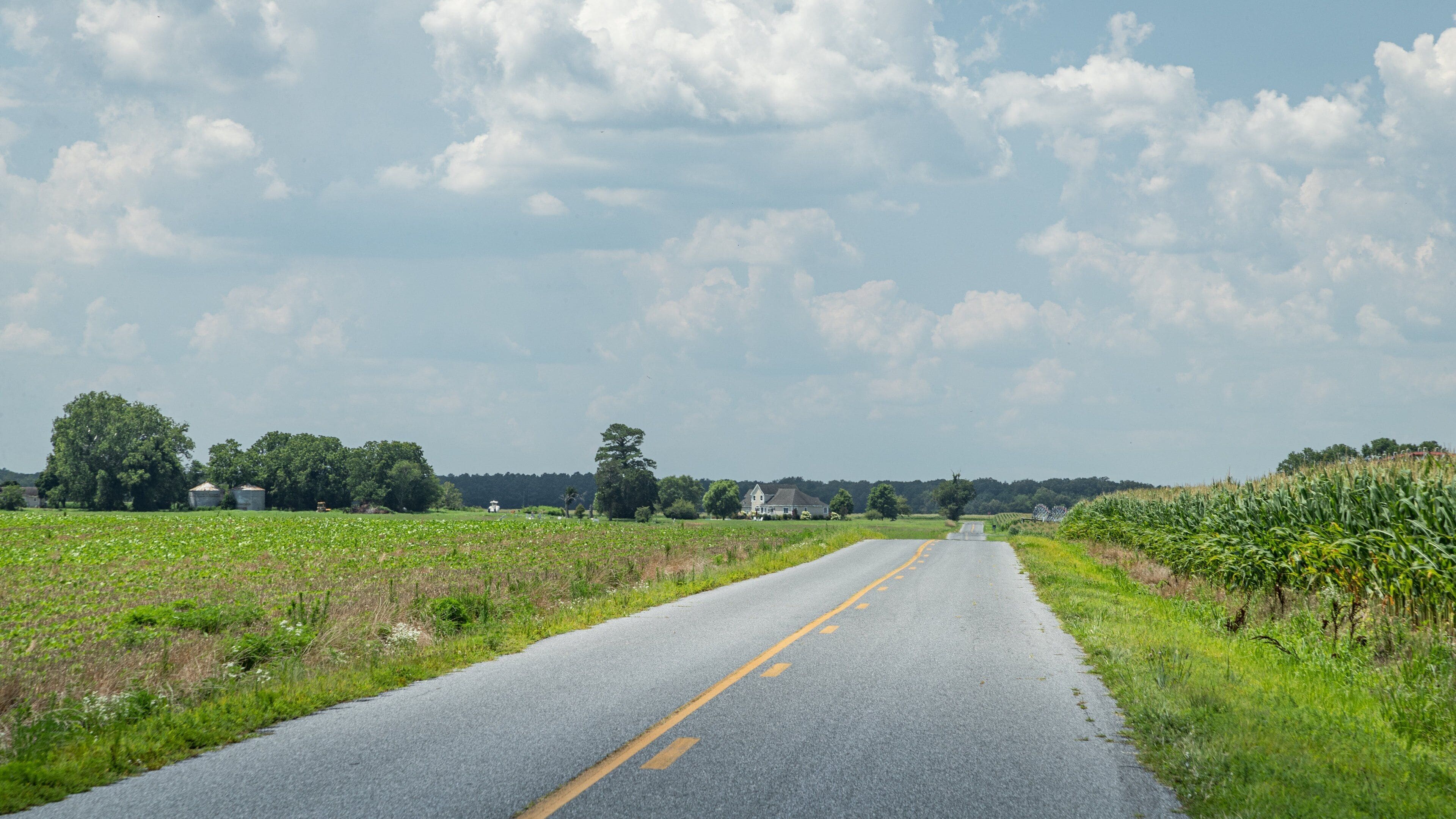 Showell featuring farmland