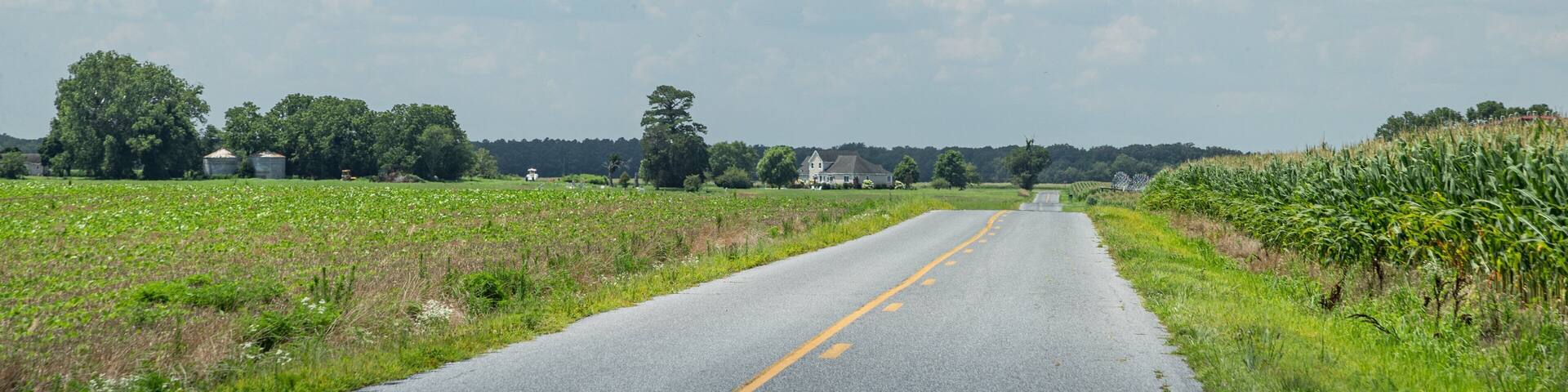 Showell featuring farmland