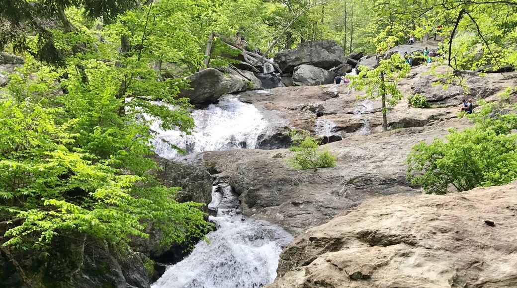 Beautiful, easy 2/3 mile hike but absolutely packed with people and unfriendly dogs.