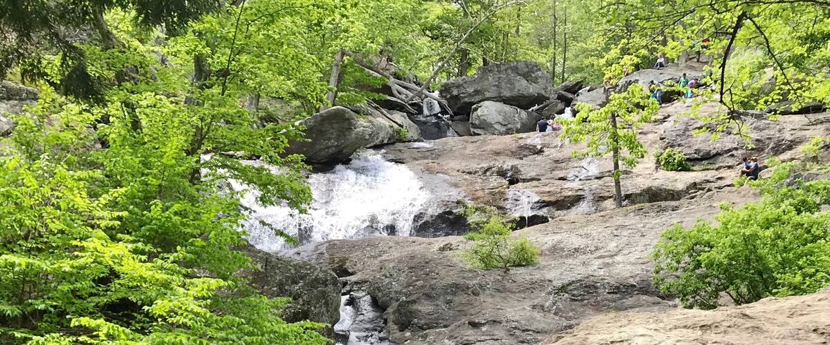 A waterfall cascading over rocks surrounded by lush greenery.