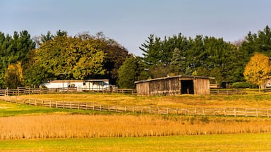Farm in rural Frederick County, Maryland.