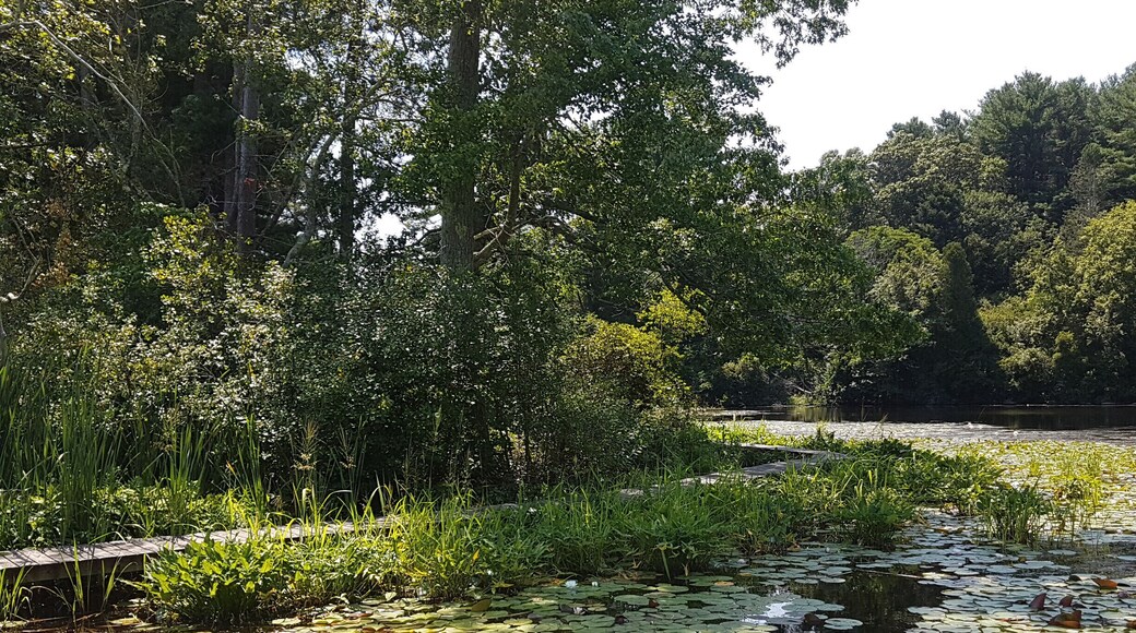 What a gorgeous day at the Sanctuary. Don't miss it!