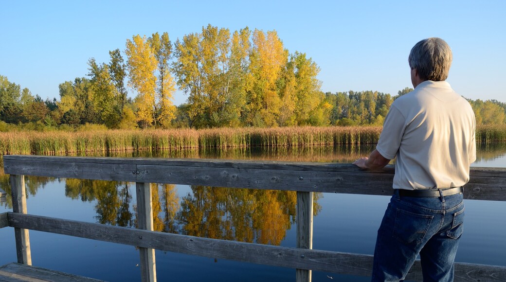 Middle-Aged Man Enjoying the Fall Colors