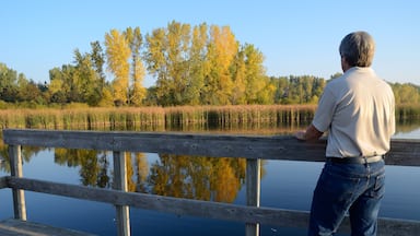 Middle-Aged Man Enjoying the Fall Colors