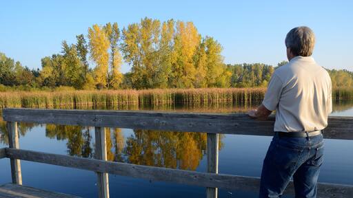 Middle-Aged Man Enjoying the Fall Colors