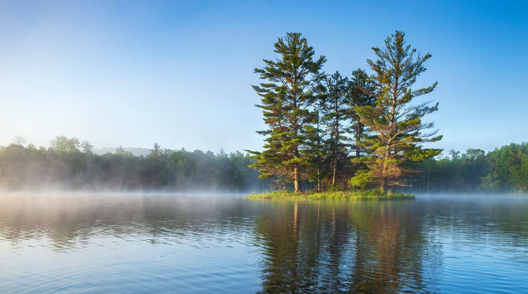 Beautiful calm blue lake and island with pine trees and fog on a summer morning in northern Minnesota