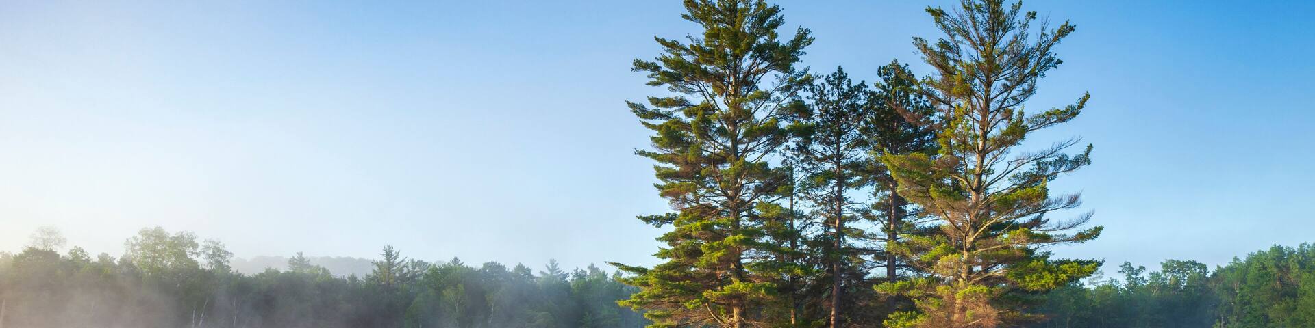 Beautiful calm blue lake and island with pine trees and fog on a summer morning in northern Minnesota