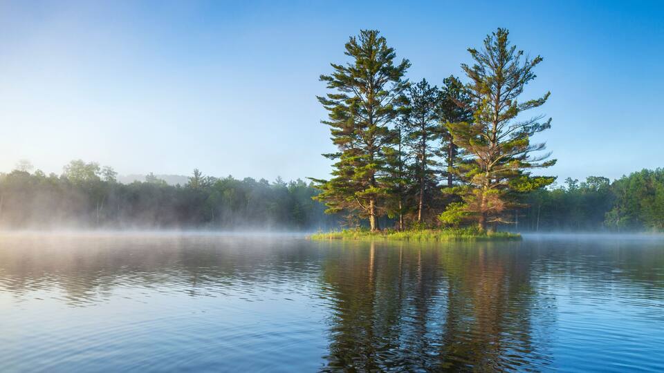 A calm lake with mist, surrounded by dense forest and tall trees.