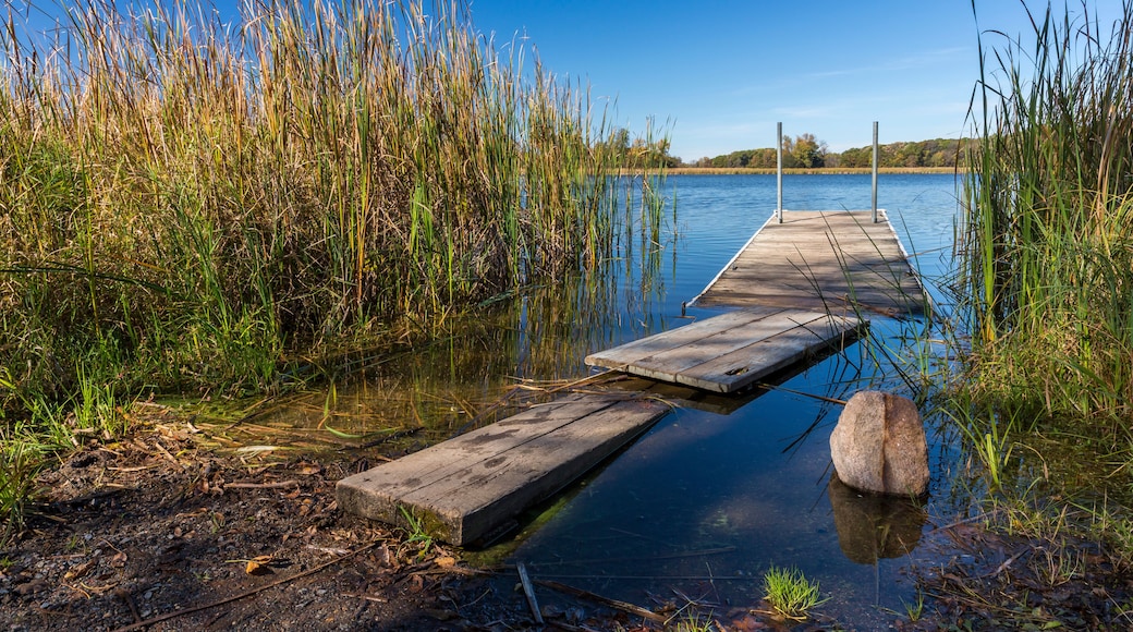Maple Lake