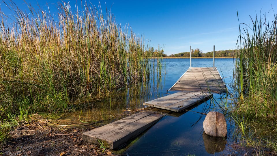 A wooden dock extending into calm water, surrounded by tall grasses and a clear blue sky.