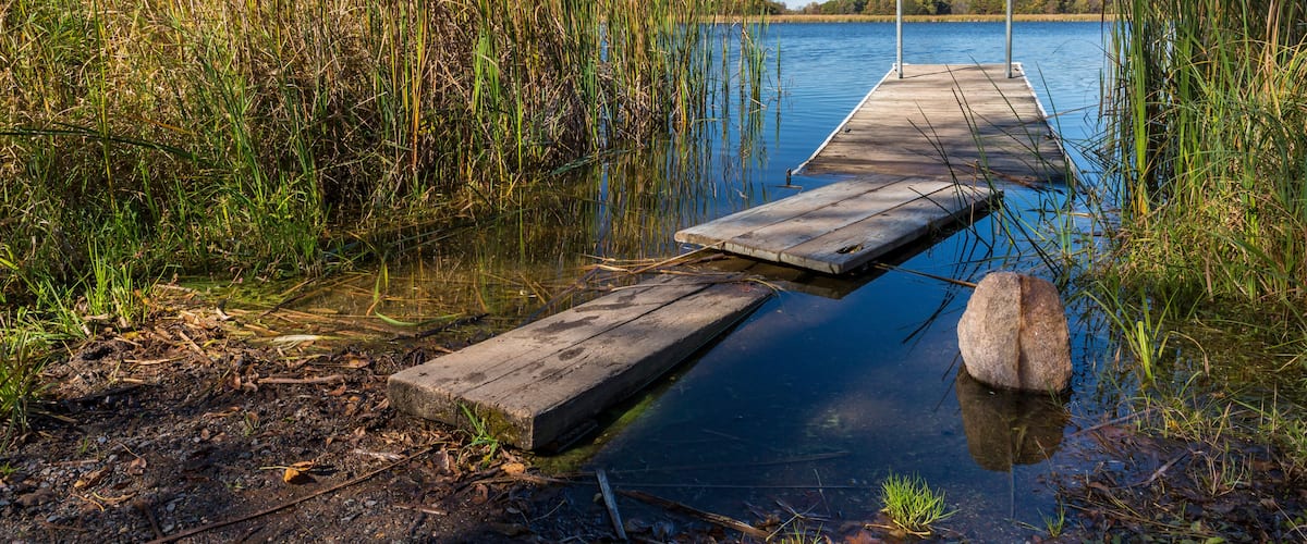 A wooden dock extending into calm water, surrounded by tall grasses and a clear blue sky.