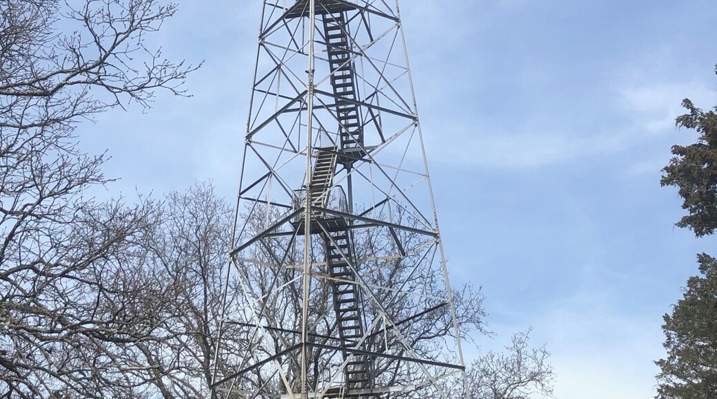 Fire tower at Hercules Glade Wilderness Area in Southern Missouri #missouri #ozarks #firetower