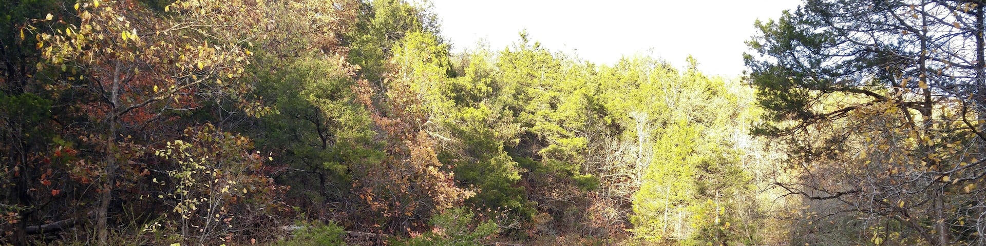 #adventure . Backpacking trip right outside of Branson Missouri