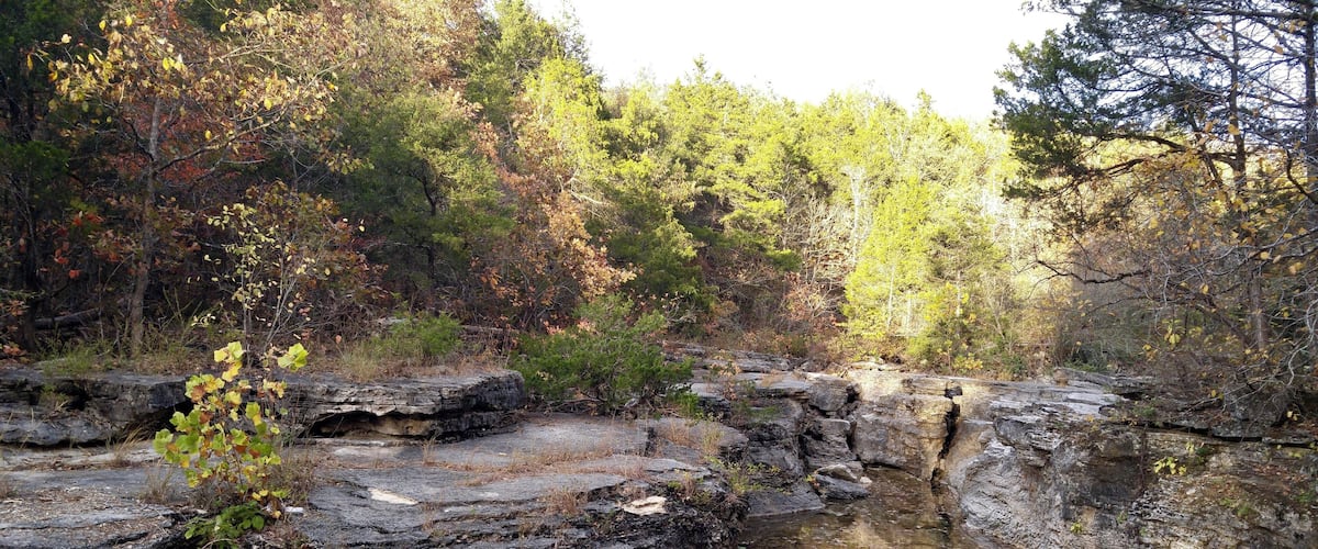 A rocky riverbed with water, surrounded by autumn-colored trees.