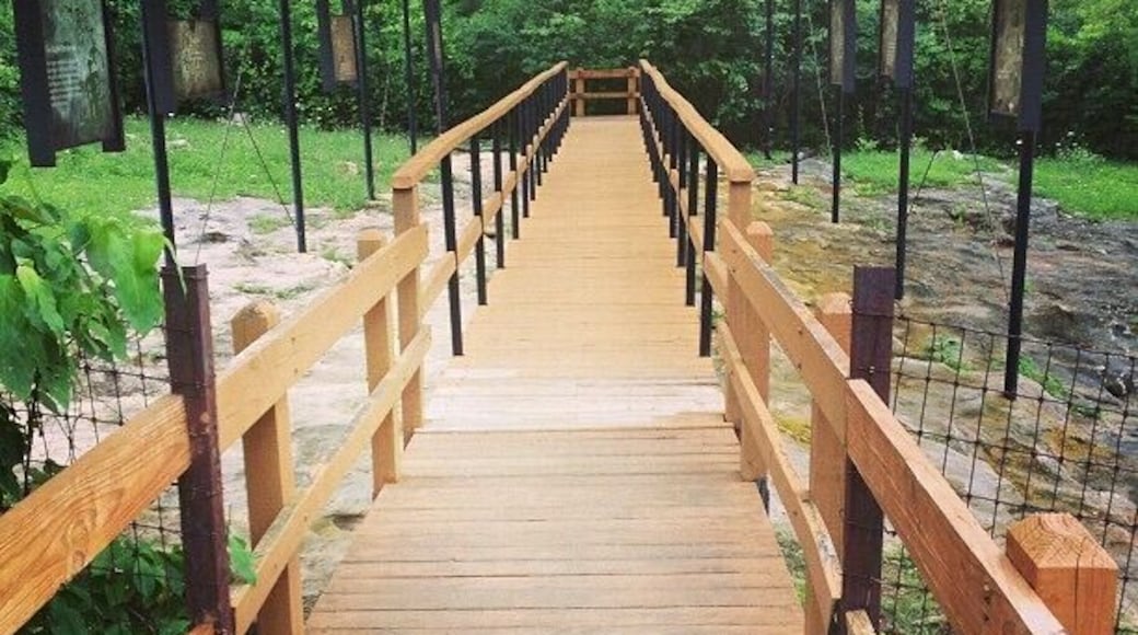 American Indian Petroglyphs.