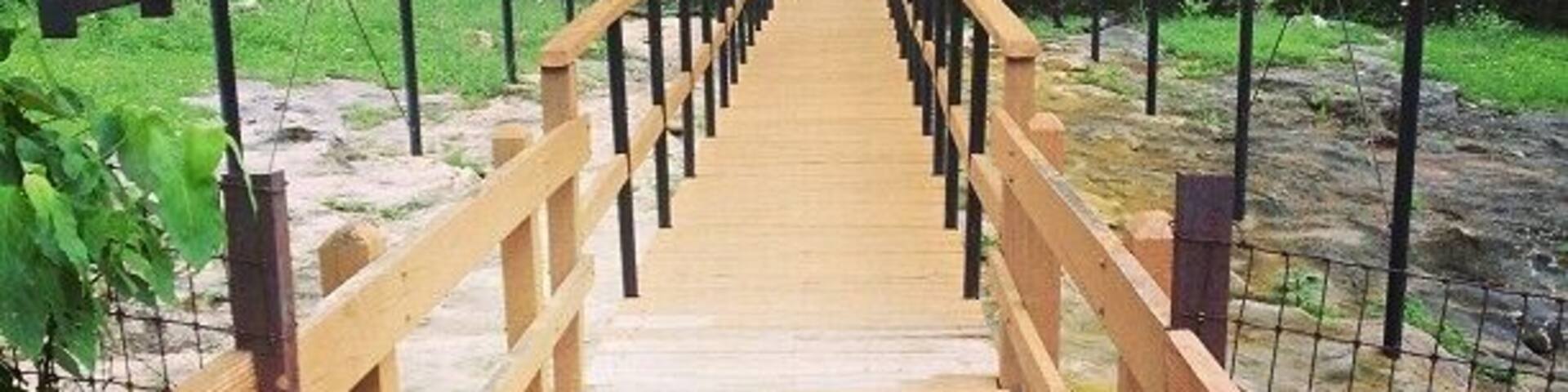 American Indian Petroglyphs.