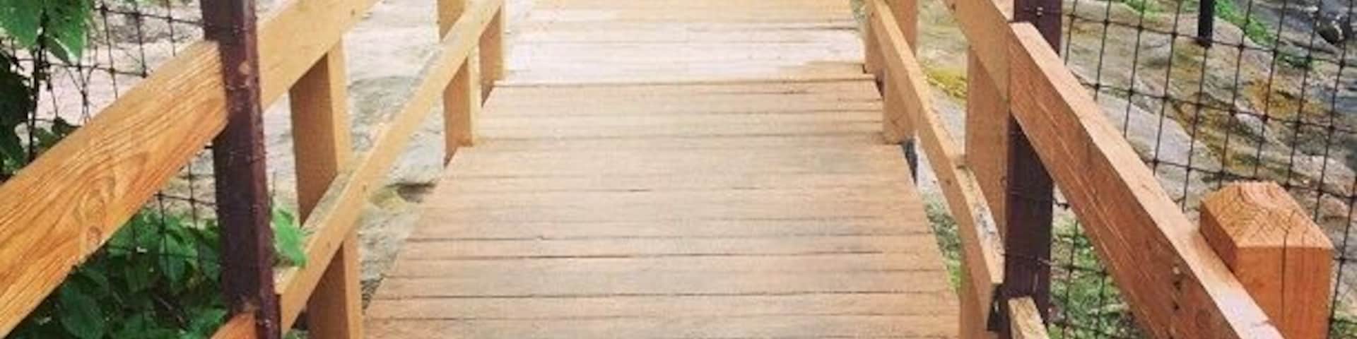 American Indian Petroglyphs.