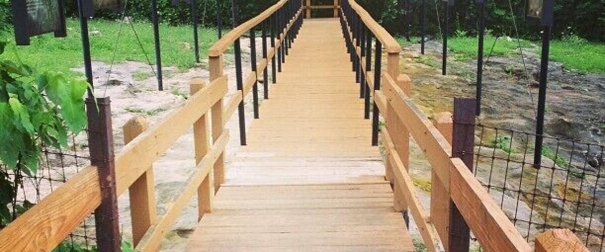 A wooden bridge with a dog walking on it.