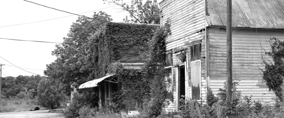 An abandoned, dilapidated building with overgrown vegetation and a weathered road.