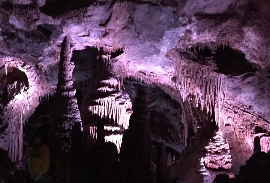 This is a great stop outside Bozeman. To see the caverns you must be a part of an excellent two-hour tour. 
You hike up to the top (human-made) entrance and wind your way down through the labyrinth-like caverns. My whole family enjoyed the experience, there's even a spot so low you have to slide through.
There are no restroom breaks and you must stay with the group, so plan accordingly.