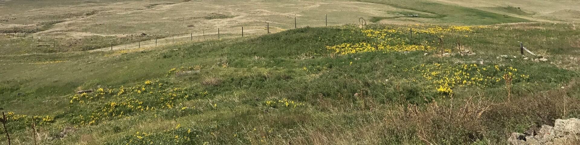 Central Montana Landscape