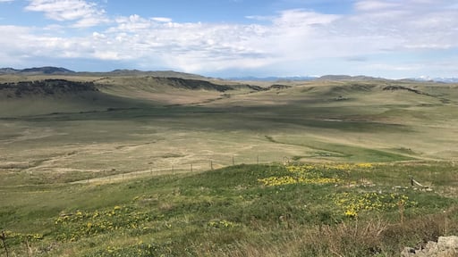 Central Montana Landscape