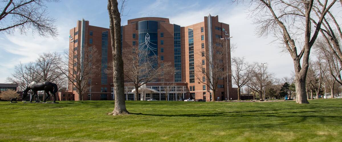 A large brick building with a modern design, surrounded by a grassy area and leafless trees.