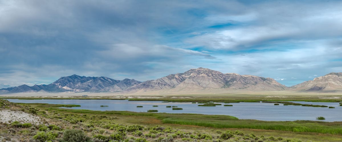 USA, Nevada, Nye County, Wayne E. Kirch Wildlife Management Area. Panorama of Adams-MgGill Reservoir along the White River. This is a small tributary of the Colorado River