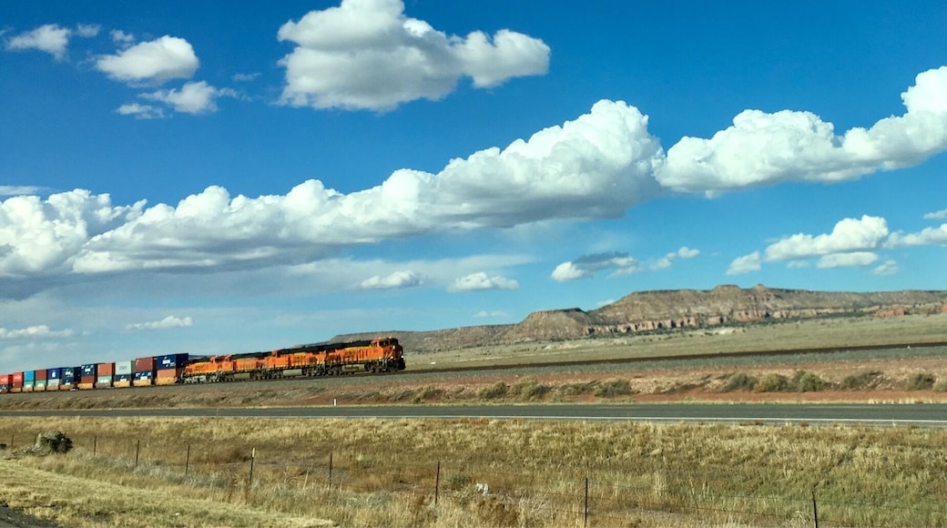 The rails are busy. This is the sixth train we've seen this afternoon. Like this pic because of the cloud formation and mountain backdrop.
#trains#newmexico