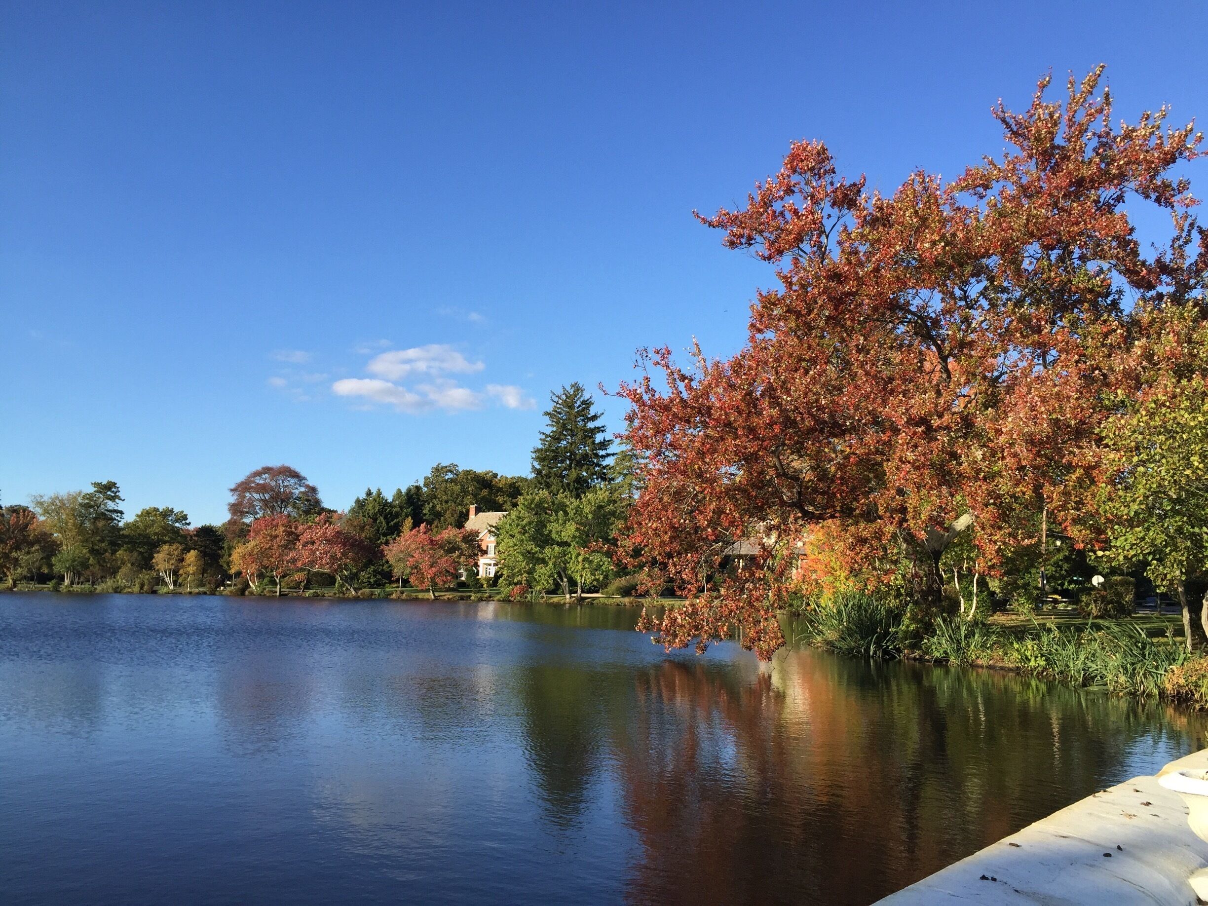 A calm lake with autumn-colored trees and a clear blue sky.