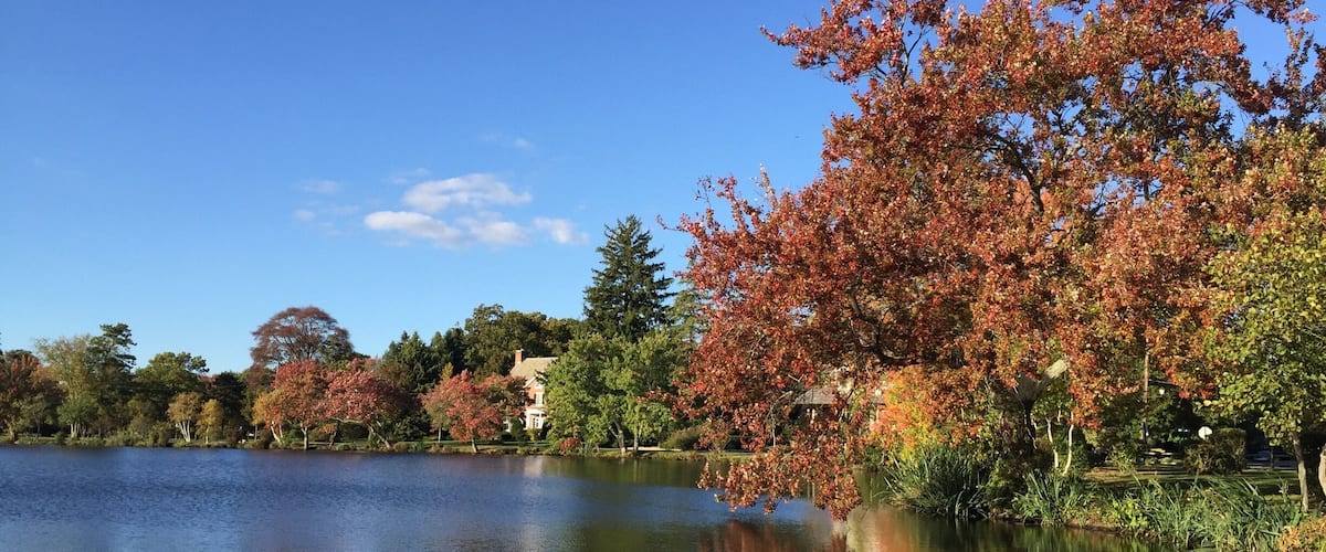 A calm lake with autumn-colored trees and a clear blue sky.
