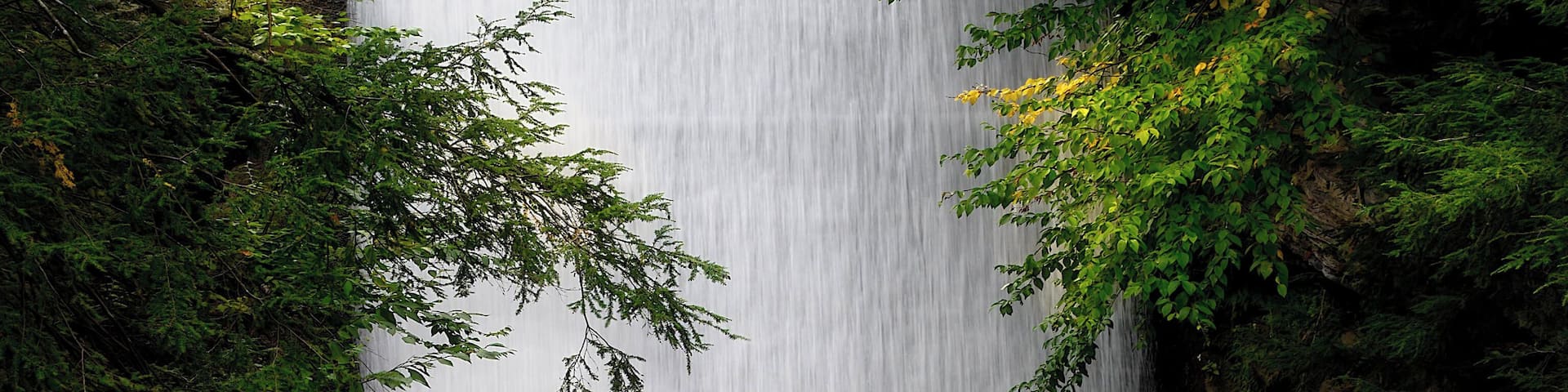 Beautiful access to the falls is the main reason to stay here or visit for the day. The campsites are well maintained and a lot of necessities are immediately available at the camp office.
They have a decent little playground for kids and a large field for other activities.
#Adventure