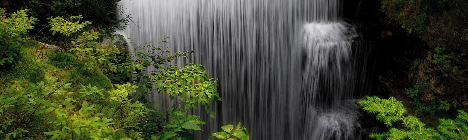 Beautiful access to the falls is the main reason to stay here or visit for the day. The campsites are well maintained and a lot of necessities are immediately available at the camp office.
They have a decent little playground for kids and a large field for other activities.
#Adventure