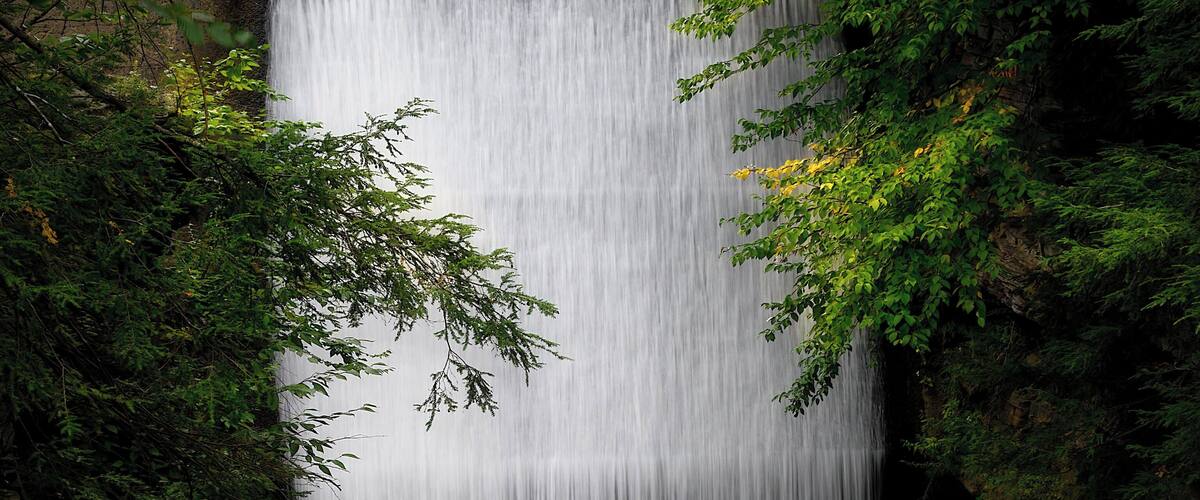 A waterfall cascading down a rocky cliff surrounded by lush green foliage.