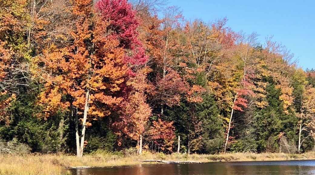 A beautiful fall day in New York. While out riding our horses we stopped for lunch break at this gorgeous lake