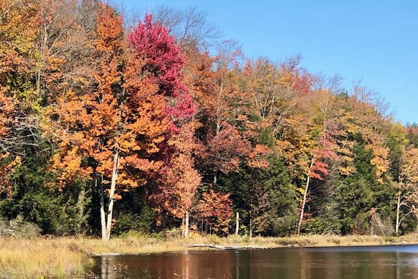 A beautiful fall day in New York. While out riding our horses we stopped for lunch break at this gorgeous lake