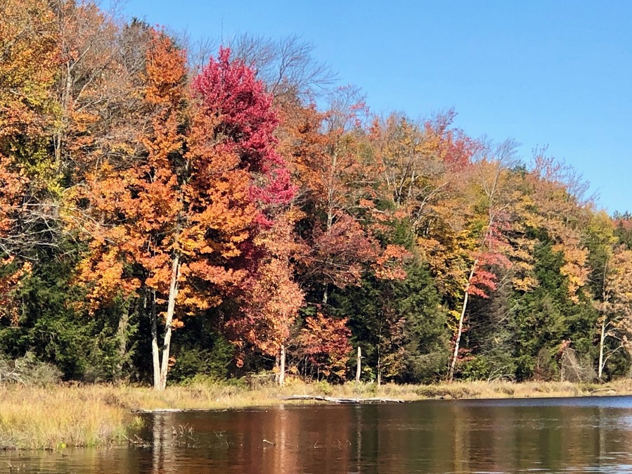 A beautiful fall day in New York.  While out riding our horses we stopped for lunch break at this gorgeous lake