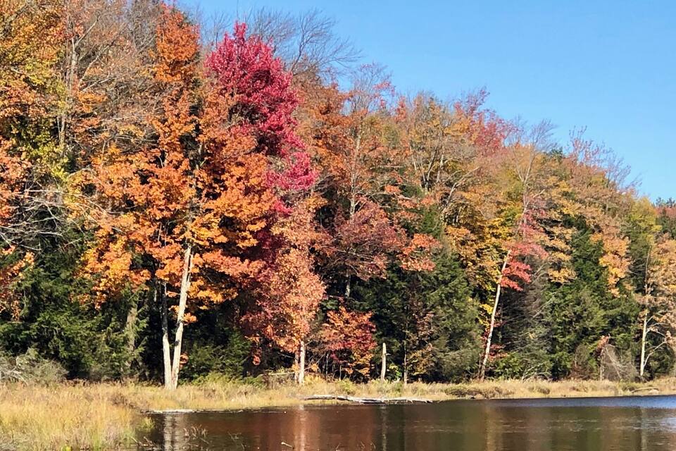 A lake surrounded by trees with autumn foliage.