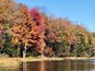 A beautiful fall day in New York. While out riding our horses we stopped for lunch break at this gorgeous lake