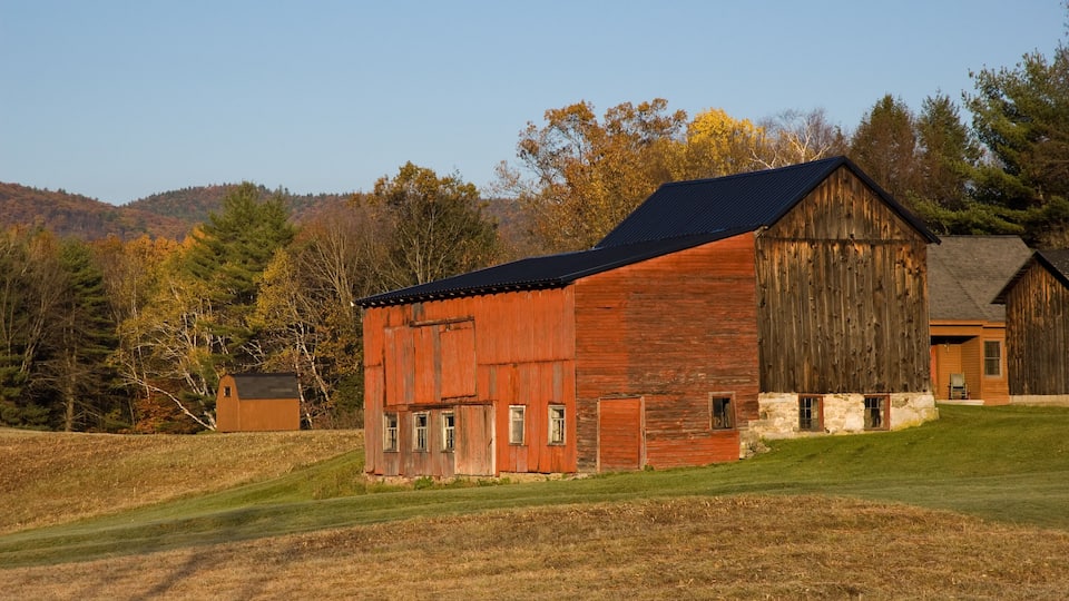 A large wooden barn with a stone foundation, surrounded by a grassy field and trees with autumn foliage.