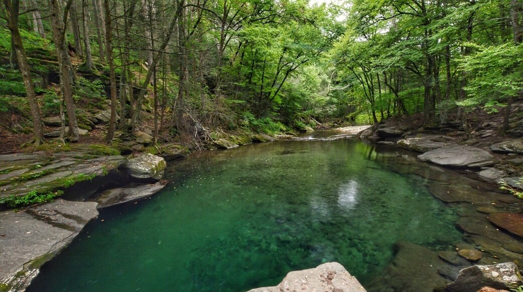 Play your heart out. This swimming hole is amazing. You have to apply permit to get in. Only 40 free permit are being issued daily. Each permit allow max 6 people. #landscape #waterlust #green #explore #hiking #nature #explore #lovemytown #I❤️NY #NikonD7100 #Manfratto tripod