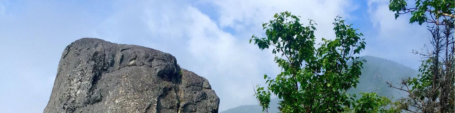 A balanced glacial erratic about 4.0 miles along the #EastTrail from #BlueberryCobbles and #BaldPeak to #RockyPeakRidge and #GiantMountain
#HighPeaks #Adirondacks