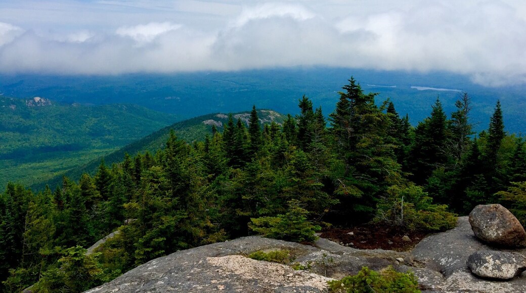 View from the #summit of #RockyPeakRidge
16 of the #HighPeaks down, 30 to go... #Adirondacks #46er