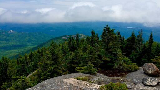 View from the #summit of #RockyPeakRidge
16 of the #HighPeaks down, 30 to go... #Adirondacks #46er
