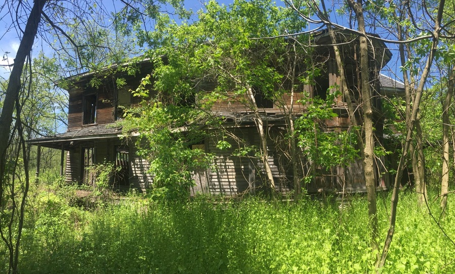 craziest house I’ve ever been inside - top 5 houses FOR SURE. hidden rooms, crazy beautiful art with actually paint and paint brush, endless stairs, I was lost the whole time